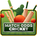 play match odds cricket game at 2222bet